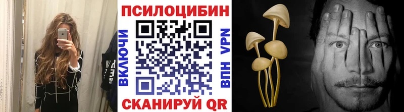 Галлюциногенные грибы мицелий  Купить где  Чкаловск 